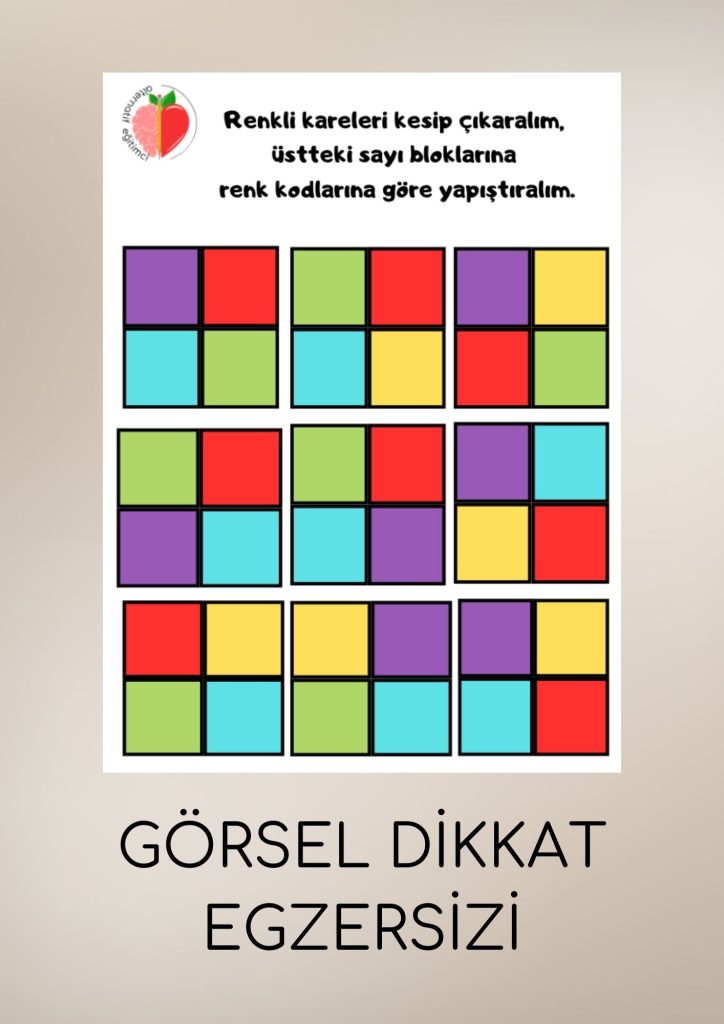 GÖRSEL DİKKAT