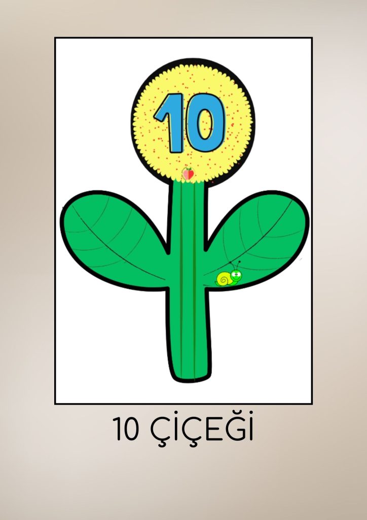 10 ÇİÇEĞİ