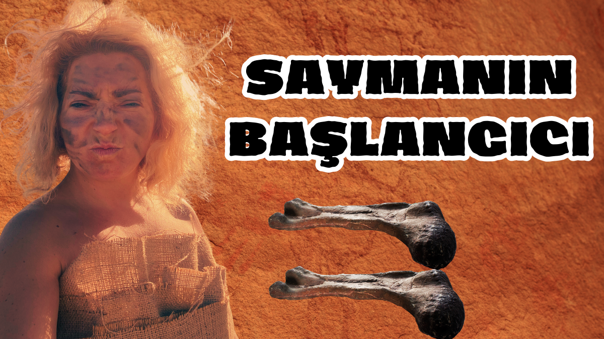 2. SAYMANIN BAŞLANGICI